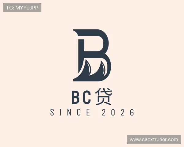 认识bc贷